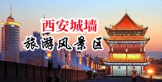 免费特级日逼I片中国陕西-西安城墙旅游风景区